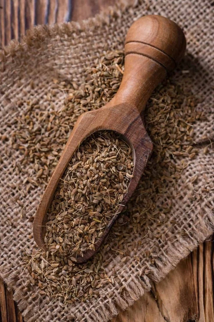 Anise