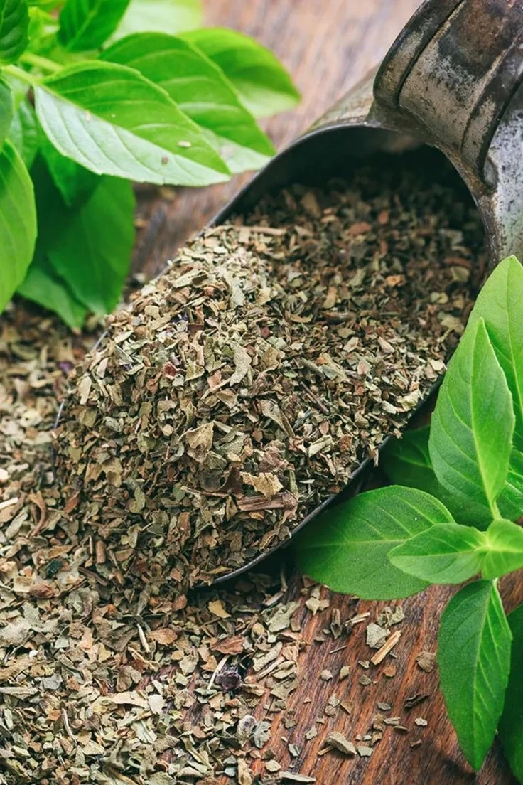 Basil