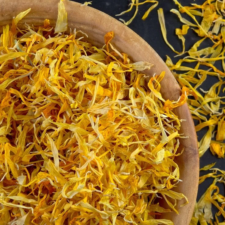 Calendula