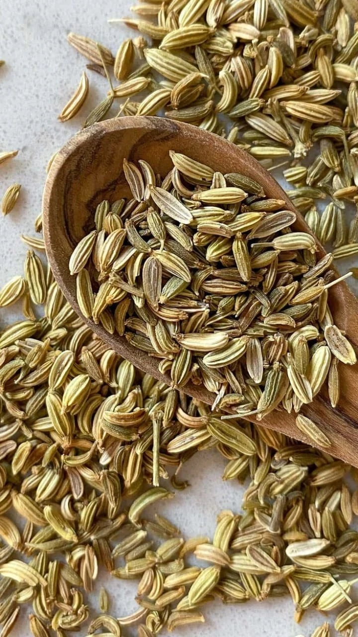 Fennel