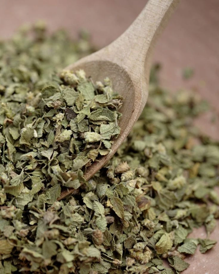 Oregano